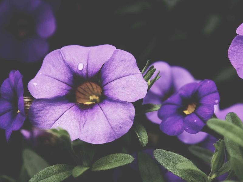 sudoku number placement screenshot 2